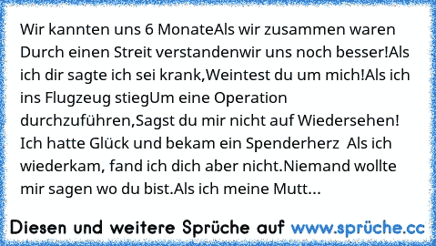 Wir kannten uns 6 Monate
Als wir zusammen waren 
Durch einen Streit verstanden
wir uns noch besser!
Als ich dir sagte ich sei krank,
Weintest du um mich!
Als ich ins Flugzeug stieg
Um eine Operation durchzuführen,
Sagst du mir nicht auf Wiedersehen! 
Ich hatte Glück und bekam ein Spenderherz  
Als ich wiederkam, fand ich dich aber nicht.
Niemand wollte mir sagen wo du bist.
Als ich meine Mutt...